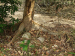 P2220878