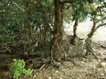 P2220879