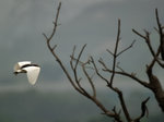 P3251881