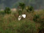 P3251882