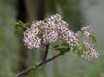 P3254585