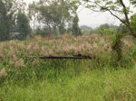 P3254597