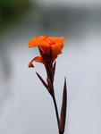 P3254607