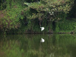 P3254626