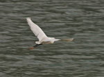 P4095074