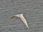 P4095075