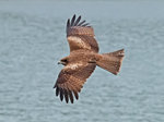 P4054737