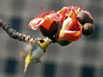 P3284211