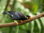 P1274655