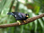 P1274659