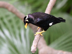 P1274662