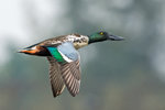 DC8_9844 copy