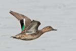 DC8_9874 copy