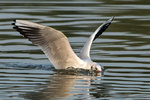 DC8_5118 copy