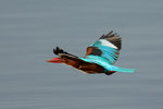 DC5_0331 copy