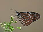 P5120812