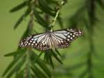 P5120816