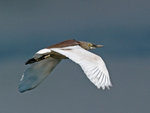 P2027041