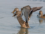 P2027061