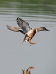 P2027074