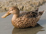 P2027149