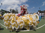 P5245573