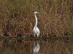 P1170012