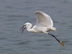 P1175692