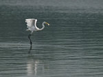 PA018592