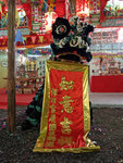 PB162654