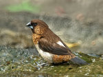 P3170951