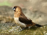 P3170955