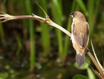 P4122021