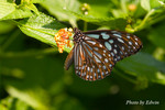 CRW_6583