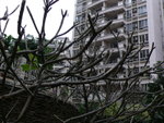 P1000149