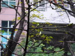 P1000169