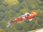 P1000057