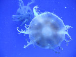 DSCF1318_L