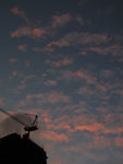 IMG_0450ss