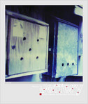 SX70_010