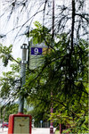 _MG_77531_2