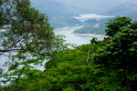 _MG_77545