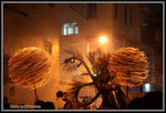 _MG_0490_2