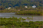 _MG_75851_2