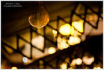 _MG_108058_2