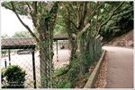 _MG_87170_2