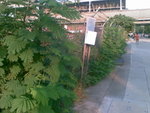 20070621094