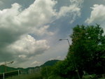 20070623007