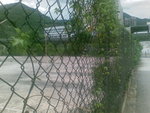 20070623010