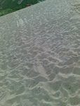 20070624037